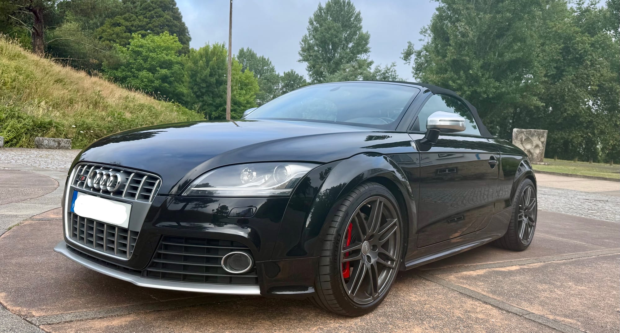 Audi TTS 2.0 TFSI quattro Roadster (2009) — foto 2