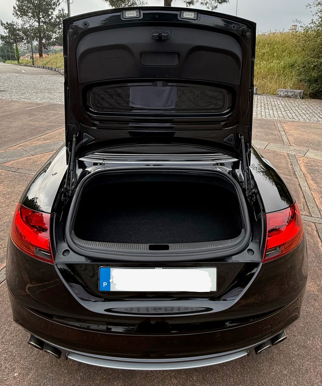 Audi TTS 2.0 TFSI quattro Roadster (2009) — foto 9
