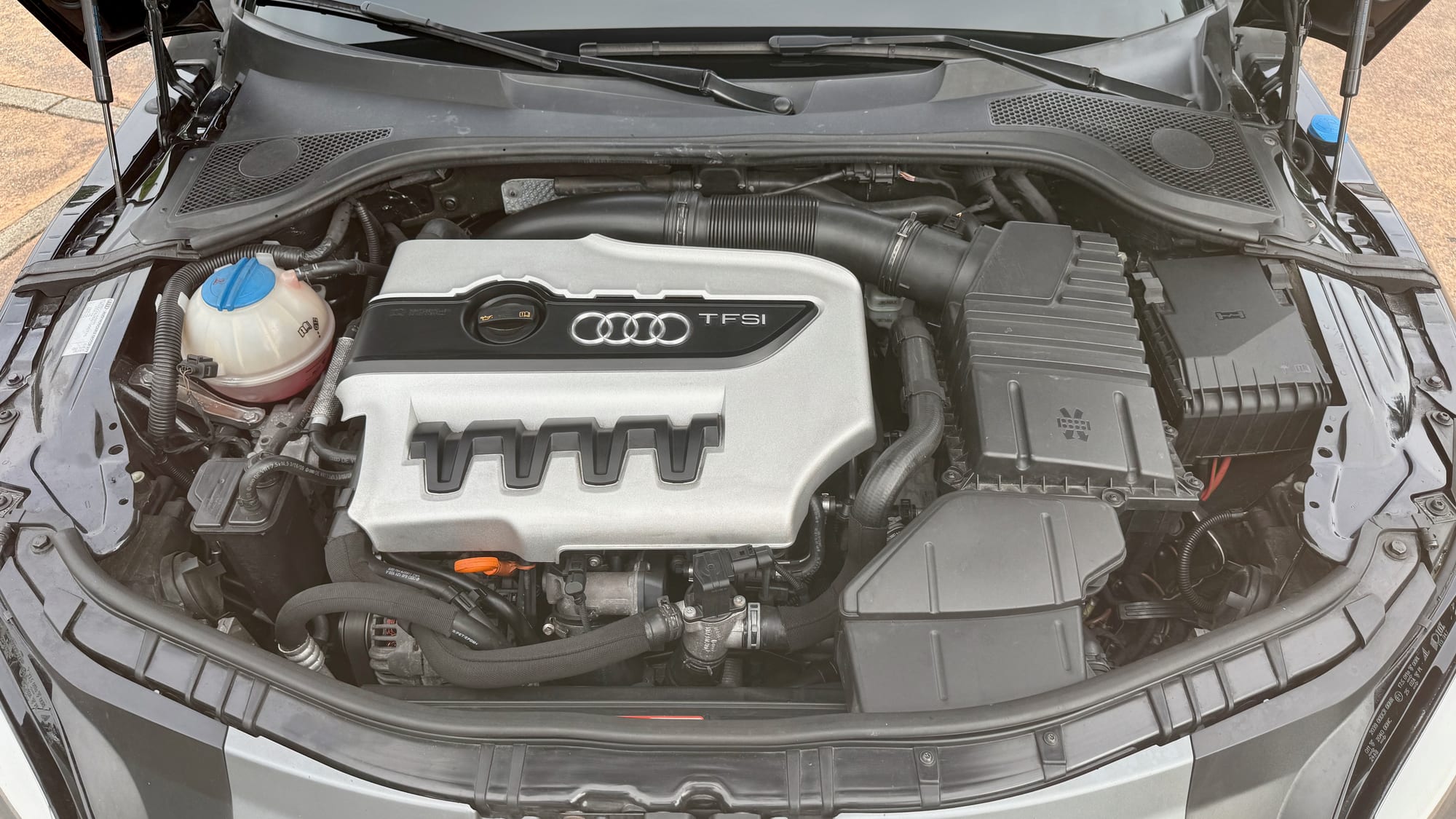 Audi TTS 2.0 TFSI quattro Roadster (2009) — foto 10
